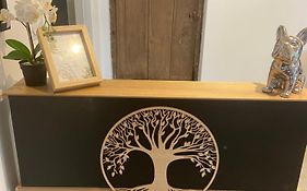 Les Insolites De Sophie